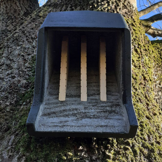 Produkt: Fledermaus-Grossraum-Flachkasten 3FF mit Inspetionsluke für verstärkte Kontrollen. Selbstreinigung, einfache Inspektion, universeller Einsatz. Im Lieferumfang sind Auhängebügel und Alunagel enthalten
