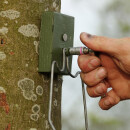 Vogelkasten mit 48 mm Flugloch f&uuml;r z.B. Stare &amp; Gartenrotschwanz