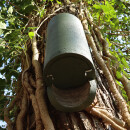 Fledermausr&ouml;hre f&uuml;r Kleinflederm&auml;use 12 mm