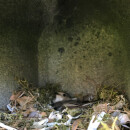 Nistkasten f&uuml;r Trauerschn&auml;pper